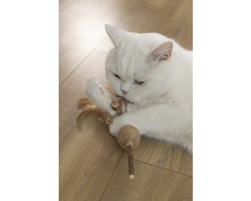 Chat blanc jouant avec un jouet pour chat sur un plancher en bois
