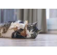 Chat joueur allongé sur le sol et jouant avec une balle en matériaux naturels et plumes.