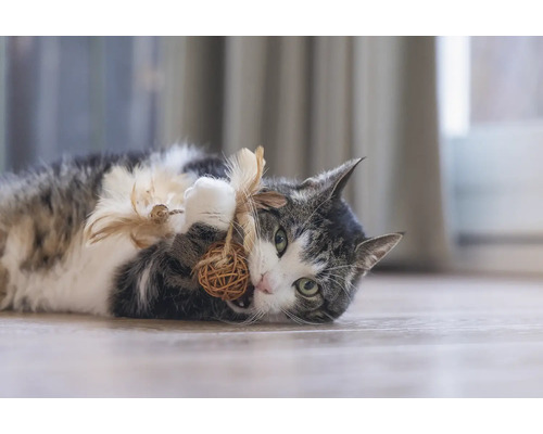 Chat joueur allongé sur le sol et jouant avec une balle en matériaux naturels et plumes.