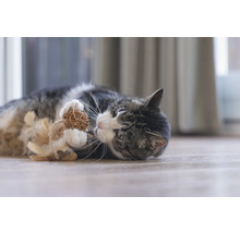 Chat jouant avec un jouet de balle