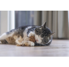 Chat allongé sur le sol jouant avec un jouet.