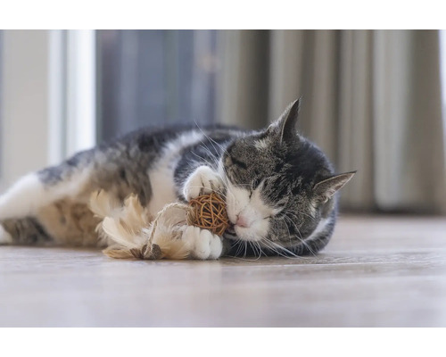 Chat allongé sur le sol jouant avec un jouet.