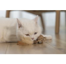 Chat blanc allongé sur le sol avec un jouet.