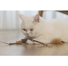 Un chat blanc est allongé sur le sol et joue avec un jouet en bois.