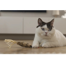 Un chat est allongé sur le sol avec un jouet pour chat.