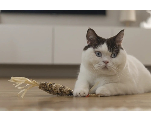 Un chat est allongé sur le sol avec un jouet pour chat.
