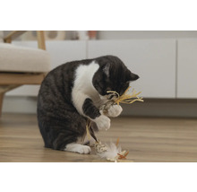 Chat jouant avec un jouet pour chat