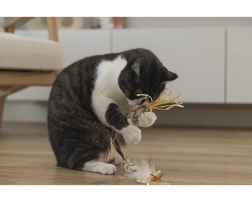 Chat jouant avec un jouet pour chat