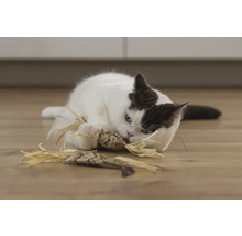 Un chat joue avec un jouet pour chat sur le sol.