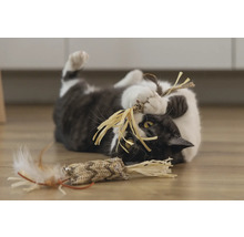 Chat jouant avec un jouet sur le sol