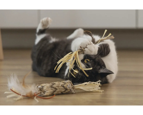 Chat jouant avec un jouet sur le sol