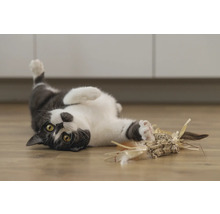 Chat jouant avec un jouet pour chat sur le sol