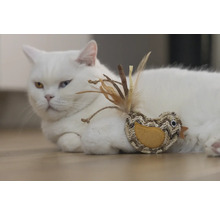 Chat blanc couché avec jouet oiseau