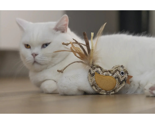 Chat blanc couché avec jouet oiseau