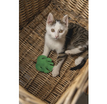 Un chat se trouve dans un panier tressé et joue avec une feuille verte en jouet.