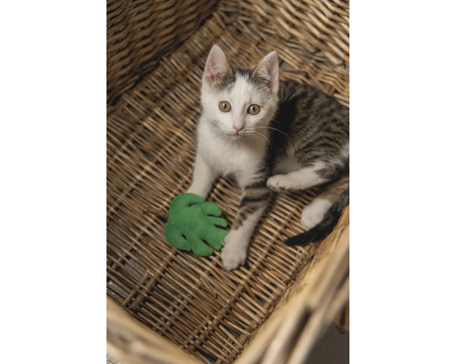 Un chat se trouve dans un panier tressé et joue avec une feuille verte en jouet.