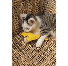 Chaton jouant avec un jouet clé à molette jaune dans un panier en osier.
