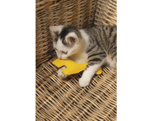 Chaton jouant avec un jouet clé à molette jaune dans un panier en osier.