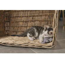 Eine Katze ruht in einem geflochtenen Katzenkorb und hält ein Spielzeug