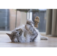 Chat joueur avec jouet en forme de poisson sur le sol