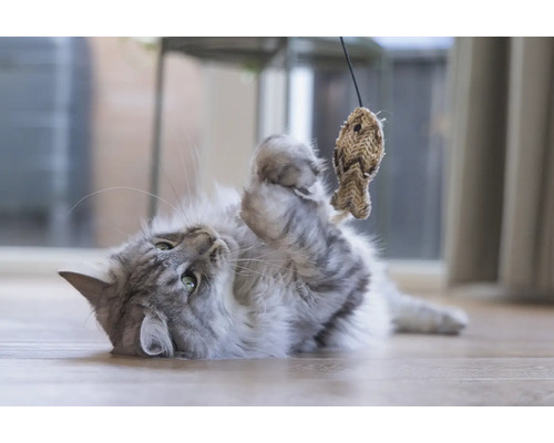 Chat joueur avec jouet en forme de poisson sur le sol