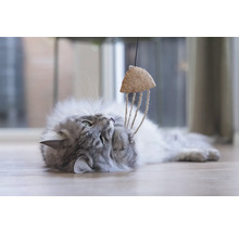 Chat gris jouant avec un jouet pour chat en liège et corde