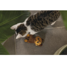 Chat avec un jouet de singe sur le sol