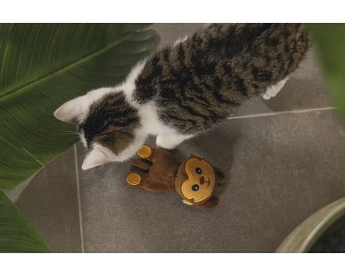 Chat avec un jouet de singe sur le sol