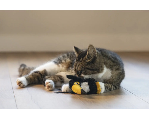 Getigerte Katze liegt mit Spielzeug auf dem Boden.