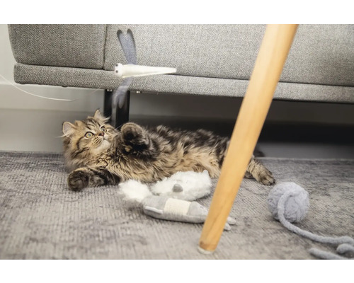 Chat joueur sur un tapis avec des jouets