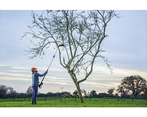 Une personne utilise un ébrancheur pour tailler un arbre.