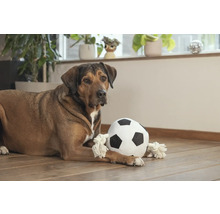 Chien allongé avec un ballon de foot en tissu sur un plancher en bois