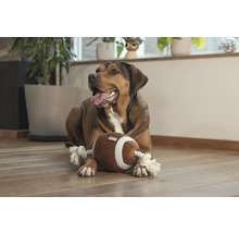 Chien allongé avec un ballon de football américain jouet sur le sol