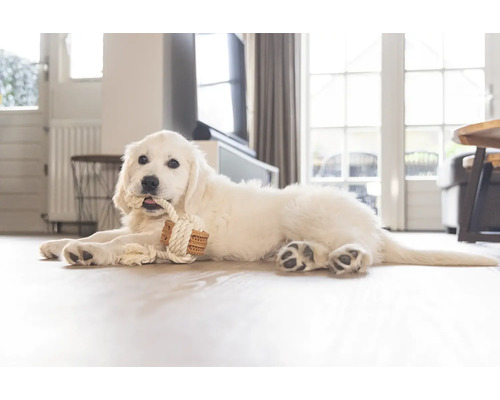 Ein weisser Golden Retriever Welpe liegt auf dem Boden und kaut auf einem Seilspielzeug.