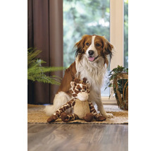 Chien assis avec une peluche girafe sur un tapis