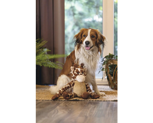 Chien assis avec une peluche girafe sur un tapis