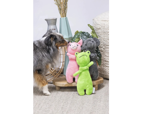 Hund mit Stofftieren Frosch, Schwein und Koala auf einem kleinen Tisch