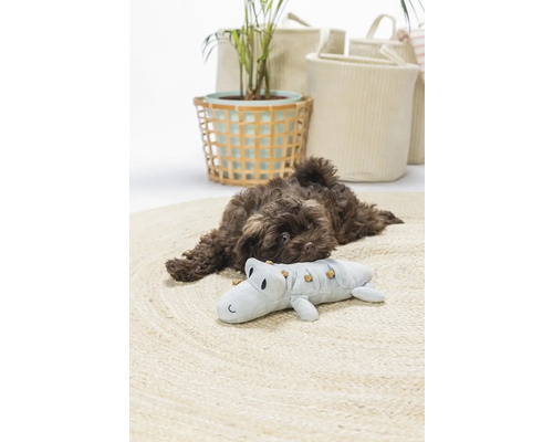 Ein brauner Welpe ruht auf einem runden Teppich neben einem Krokodil-Spielzeug, umgeben von dekorativen Körben und einer Pflanze.