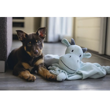 Un chiot est allongé par terre à côté d'une peluche.
