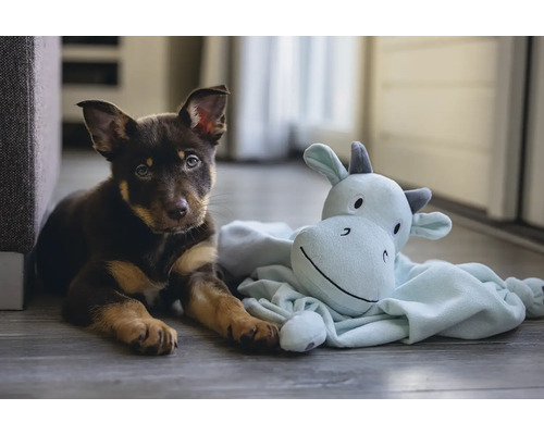 Un chiot est allongé par terre à côté d'une peluche.