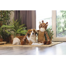 Chien allongé avec une girafe en peluche sur un tapis devant des plantes