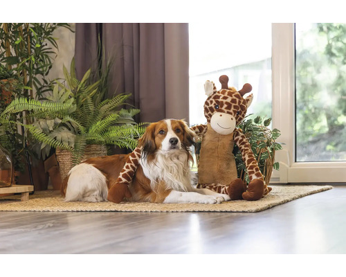 Chien allongé avec une girafe en peluche sur un tapis devant des plantes