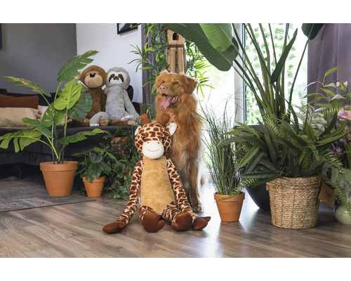 Scène avec des peluches, des plantes en pot et un chien