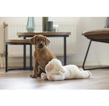 Heller Raum mit jungem Hund und Plüschschaf