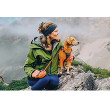 Frau mit Hund in Wanderkleidung auf einem Felsen