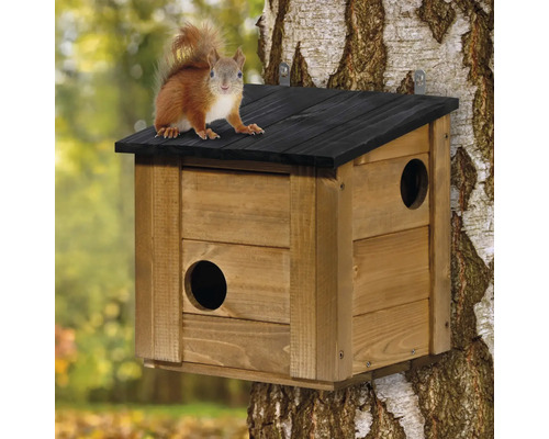 Eichhörnchenhaus aus Holz mit schwarzem Dach, montiert an einem Baum mit einem Eichhörnchen auf dem Dach