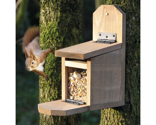 Mangeoire en bois pour écureuils avec nourriture et un écureuil sur un arbre