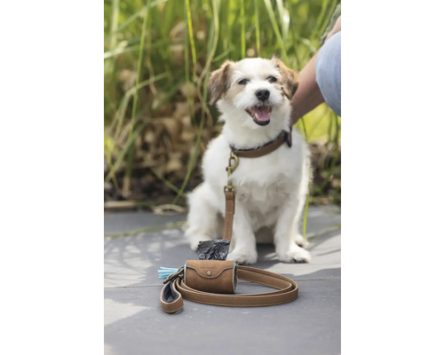 Hund mit brauner Leine und Kotbeutelspender