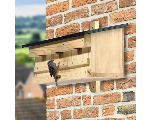 Nichoir en bois sur un mur de briques avec un oiseau assis devant et un autre à l'intérieur.