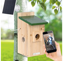 Nichoir avec panneau solaire et vue smartphone de la famille d'oiseaux